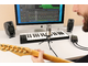 IK MULTIMEDIA - Microfono a Condensatore a Diaframma Largo con connessione XLR