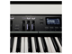 KORG - PIANOFORTE DIGITALE 88 TASTI