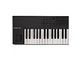 NATIVE INSTRUMENTS - Controller MIDI 61 tasti