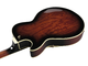 IBANEZ - 