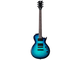ESP LTD - 