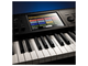 KORG - 