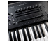 KORG - 