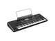 KORG - Arranger 61 Tasti Dinamici