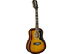 EKO - Chitarra acustica elettrificata 12 corde