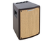 IBANEZ - Amplificatore per chitarra acustica 80w