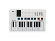 ARTURIA - 