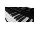 KORG - Tastiera arranger 61 tasti