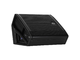 RCF - STAGE MONITOR ATTIVO COASSIALE