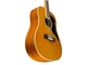 EKO - Chitarra acustica 12 corde naturale elettrificata