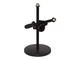 PROEL - 