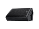 RCF - STAGE MONITOR ATTIVO COASSIALE
