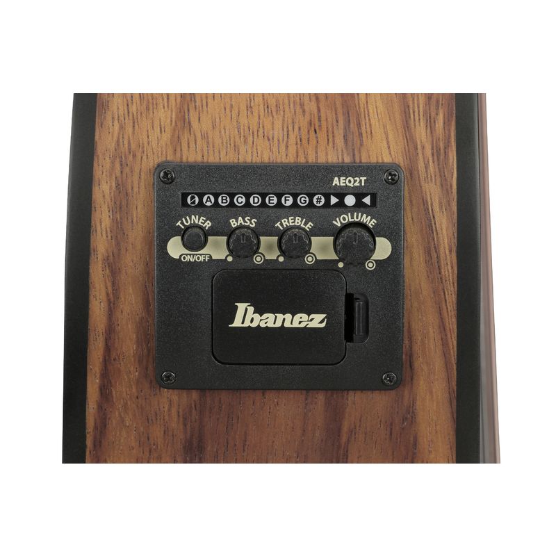 IBANEZ - 
